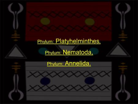 Phylum: Platyhelminthes, Phylum: Nematoda, Phylum: Annelida.