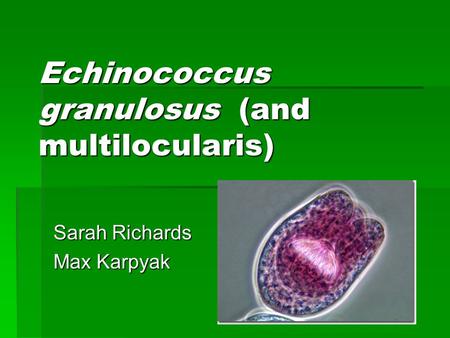 Echinococcus granulosus (and multilocularis) Sarah Richards Max Karpyak.