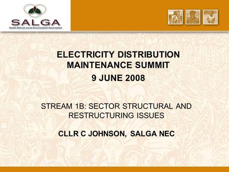 STREAM 1B: SECTOR STRUCTURAL AND RESTRUCTURING ISSUES CLLR C JOHNSON, SALGA NEC ELECTRICITY DISTRIBUTION MAINTENANCE SUMMIT 9 JUNE 2008.