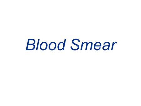 Blood Smear.