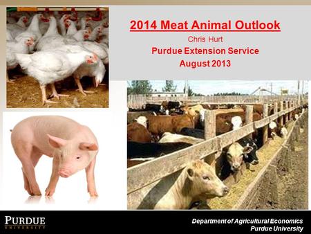 Department of Agricultural Economics Purdue University 2014 Meat Animal Outlook Chris Hurt Purdue Extension Service August 2013.