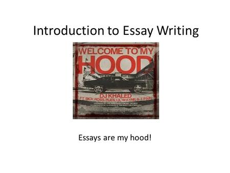 Introduction to Essay Writing Essays are my hood!.