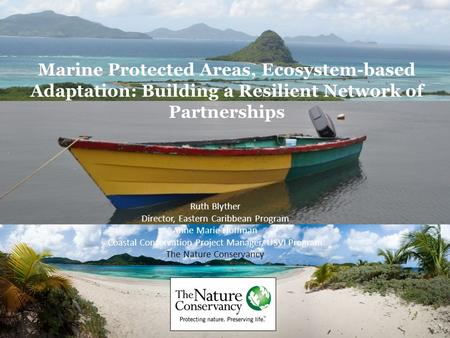 Marine Protected Areas, Ecosystem-based Adaptation: Building a Resilient Network of Partnerships Ruth Blyther Director, Eastern Caribbean Program Anne.