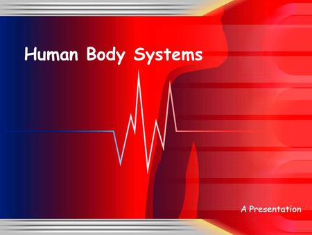Human Body Systems A Presentation.