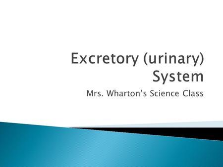 Mrs. Wharton’s Science Class.  System of the body that collects wastes produced by cells and removes the wastes from the body.  Excretion- what the.