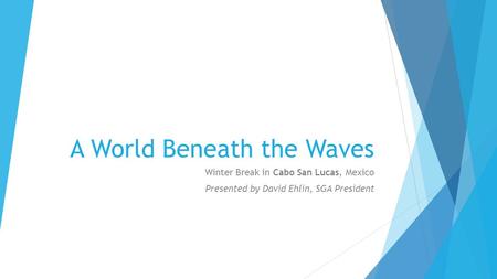 A World Beneath the Waves Winter Break in Cabo San Lucas, Mexico Presented by David Ehlin, SGA President.