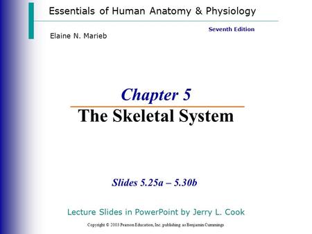 Essentials of Human Anatomy & Physiology Copyright © 2003 Pearson Education, Inc. publishing as Benjamin Cummings Slides 5.25a – 5.30b Seventh Edition.