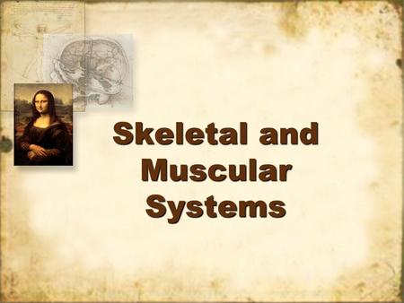 Skeletal and Muscular Systems Vocabulary Cell – basic unit of structure and function of living things Locomotion – movement Organ – a group of tissues.