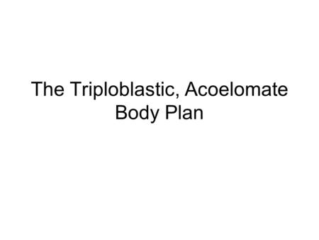 The Triploblastic, Acoelomate Body Plan