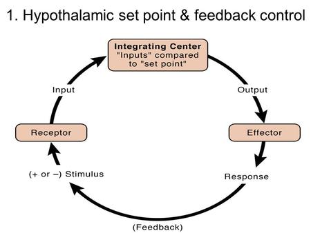 1. Hypothalamic set point & feedback control
