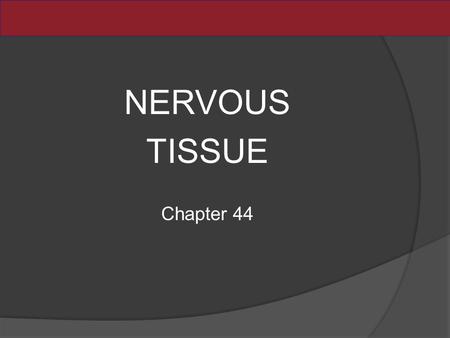 NERVOUS TISSUE Chapter 44. What Cells Are Unique to the Nervous System? Nervous systems have two categories of cells: Neurons generate and propagate electrical.