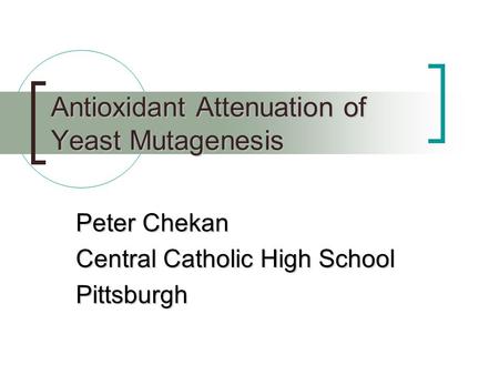 Antioxidant Attenuation of Yeast Mutagenesis Peter Chekan Central Catholic High School Pittsburgh.