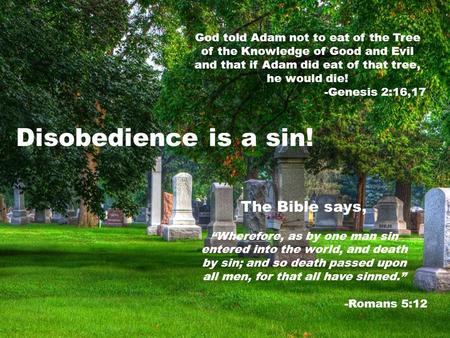 God told Adam not to eat of the Tree of the Knowledge of Good and Evil and that if Adam did eat of that tree, he would die! -Genesis 2:16,17 Disobedience.