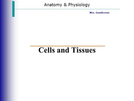 Anatomy & Physiology Mrs. Gunderson Cells and Tissues.