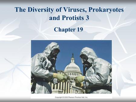 The Diversity of Viruses, Prokaryotes and Protists 3 Chapter 19.