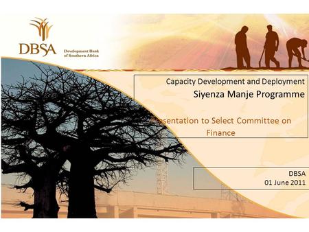 Click to edit Master subtitle style 11 Capacity Development and Deployment Siyenza Manje Programme Presentation to Select Committee on Finance DBSA 01.