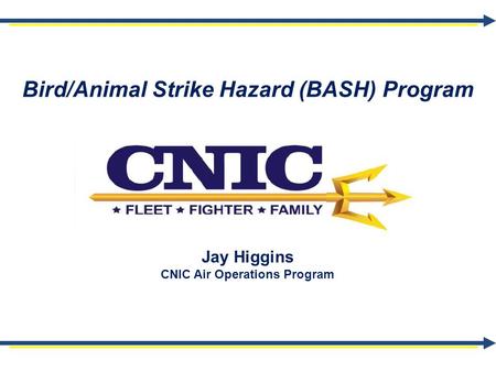 Bird/Animal Strike Hazard (BASH) Program Jay Higgins CNIC Air Operations Program.