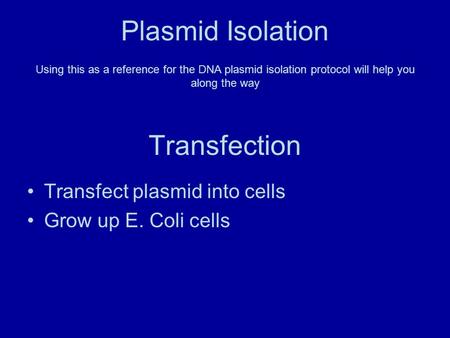 Plasmid Isolation Transfection Transfect plasmid into cells