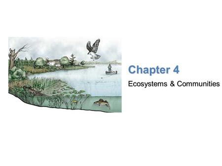 Ecosystems & Communities