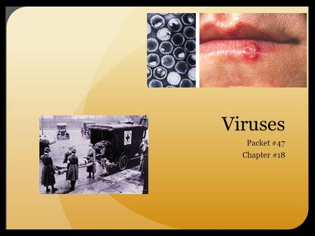 Viruses Packet #47 Chapter #18.