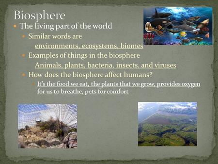Biosphere The living part of the world Similar words are