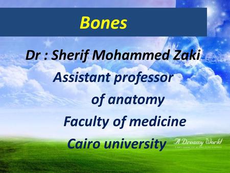 Bones Dr : Sherif Mohammed Zaki Assistant professor of anatomy