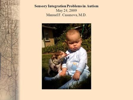 Sensory Integration Problems in Autism May 24, 2009 Manuel F. Casanova, M.D.