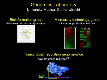 Genomics Laboratory University Medical Center Utrecht... Microarray technology group microarray production and use Transcription regulation genome-wide.