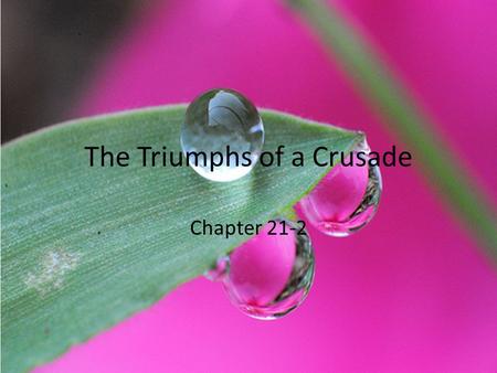 The Triumphs of a Crusade Chapter 21-2. Riding for Freedom In May 1961, a mob firebombed a busload of volunteers, known as freedom riders, in Anniston,