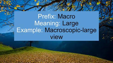 Prefix: Macro Meaning: Large Example: Macroscopic-large view.