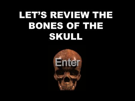 LET’S REVIEW THE BONES OF THE SKULL