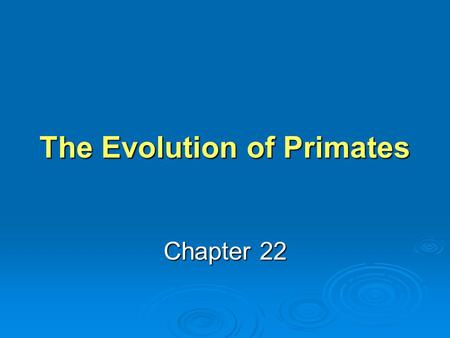 The Evolution of Primates