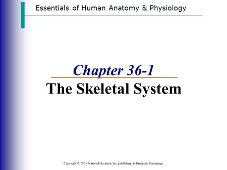 Essentials of Human Anatomy & Physiology Copyright © 2003 Pearson Education, Inc. publishing as Benjamin Cummings Chapter 36-1 The Skeletal System.