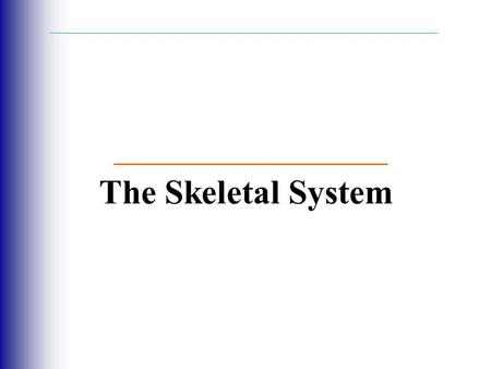 The Skeletal System.  Parts of the skeletal system  Bones (skeleton)  Joints  Cartilages  Ligaments (bone to bone)(tendon=bone to muscle)  Divided.