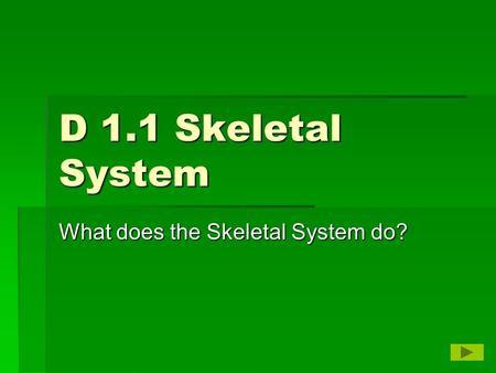 D 1.1 Skeletal System What does the Skeletal System do?