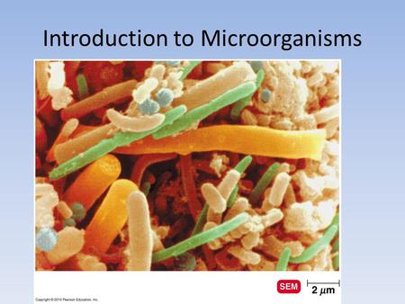 Introduction to Microorganisms 1. Lesson Objectives: – Define microbiology. – List the organisms included in the field of microbiology. – Discuss the.