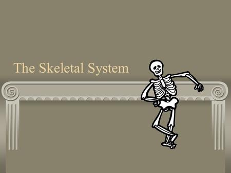 The Skeletal System. Axial Skeleton The axial skeleton forms the central axis of the body. It consists of the skull, the vertebral column, the ribs and.