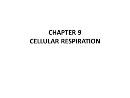 CHAPTER 9 CELLULAR RESPIRATION