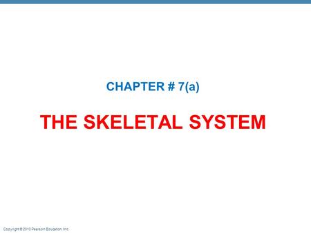 CHAPTER # 7(a) THE SKELETAL SYSTEM.