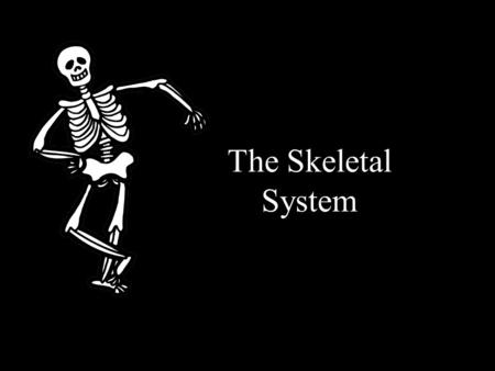 The Skeletal System.