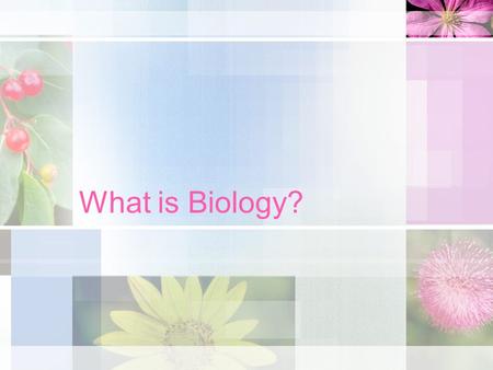 What is Biology? Biology = the study of life Bio- = life -logy = the study of Concepts, principles and theories that allow people to understand the natural.