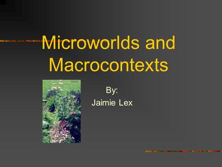 Microworlds and Macrocontexts By: Jaimie Lex. My Classroom The lesson plan that I am writing will apply to my High School Freshman and Sophomore students.