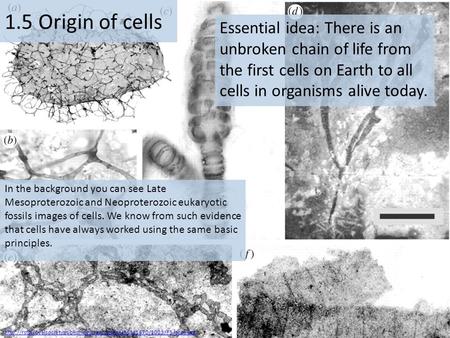 1.5 Origin of cells Essential idea: There is an unbroken chain of life from the first cells on Earth to all cells in organisms alive today. In the background.
