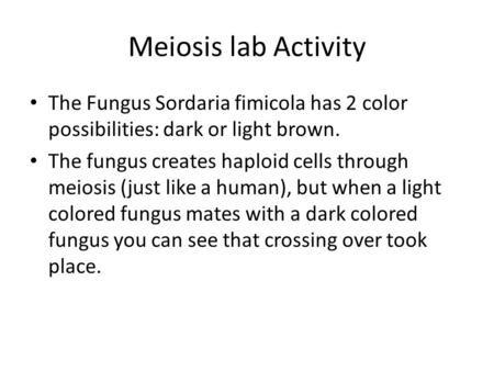 Meiosis lab Activity The Fungus Sordaria fimicola has 2 color possibilities: dark or light brown. The fungus creates haploid cells through meiosis (just.