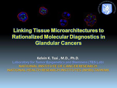 Kelvin K. Tsai, M.D., Ph.D. Laboratory for Tumor Epigenetics and Stemness (TES Lab) NATIONAL INSTITUTE OF CANCER RESEARCH NATIONAL HEALTH RESEARCH INSTITUTES.
