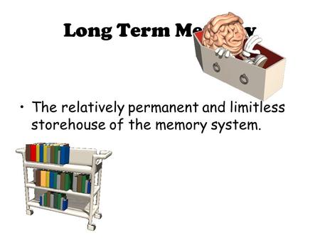 Long Term Memory The relatively permanent and limitless storehouse of the memory system.