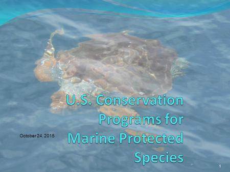 1 October 24, 2015. 2 Endangered Species Act Marine Mammal Protection Act Key Legal Mandates for Protected Species.