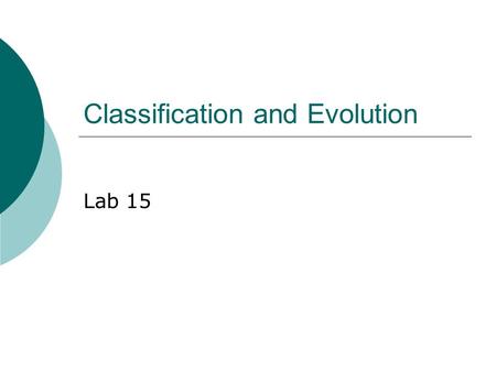 Classification and Evolution Lab 15. Taxonomy  Taxonomy is the field devoted to the classification of living things. First devised by Carolus Linnaeus.