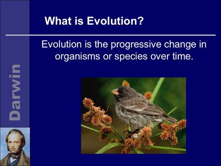 What is Evolution? Evolution is the progressive change in organisms or species over time.
