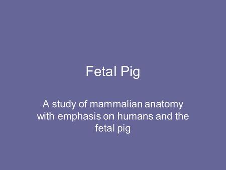 A study of mammalian anatomy with emphasis on humans and the fetal pig